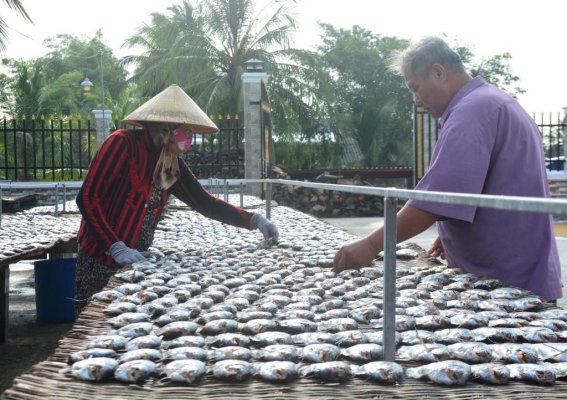 Quy trình sản xuất cá khô bổi Tư Hùng