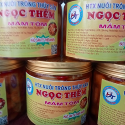 Thưởng thức mắm tôm Ngọc Thêm với hương vị và chất lượng tuyệt vời